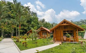 La Fortuna Natural Green